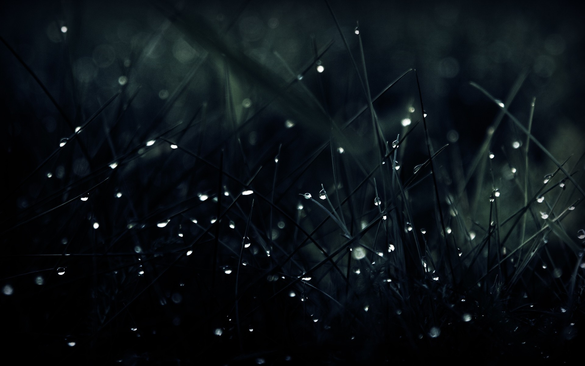 Detail Best Wallpaper For Desktop Nomer 37