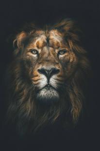 Detail Best Wallpaper Hd Nomer 28