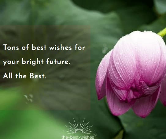 Detail Best Wishes To You And Your Family Quotes Nomer 16