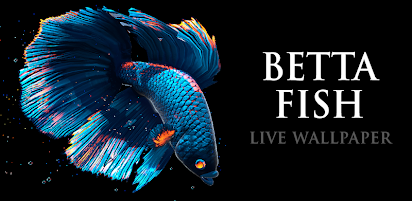 Detail Betta Fish 3d Live Wallpaper Nomer 3