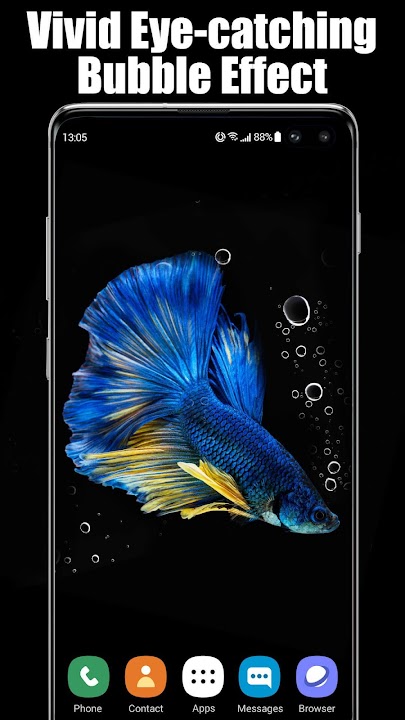 Detail Betta Fish 3d Live Wallpaper Nomer 58