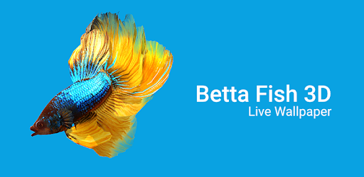 Detail Betta Fish Live Wallpaper Nomer 12