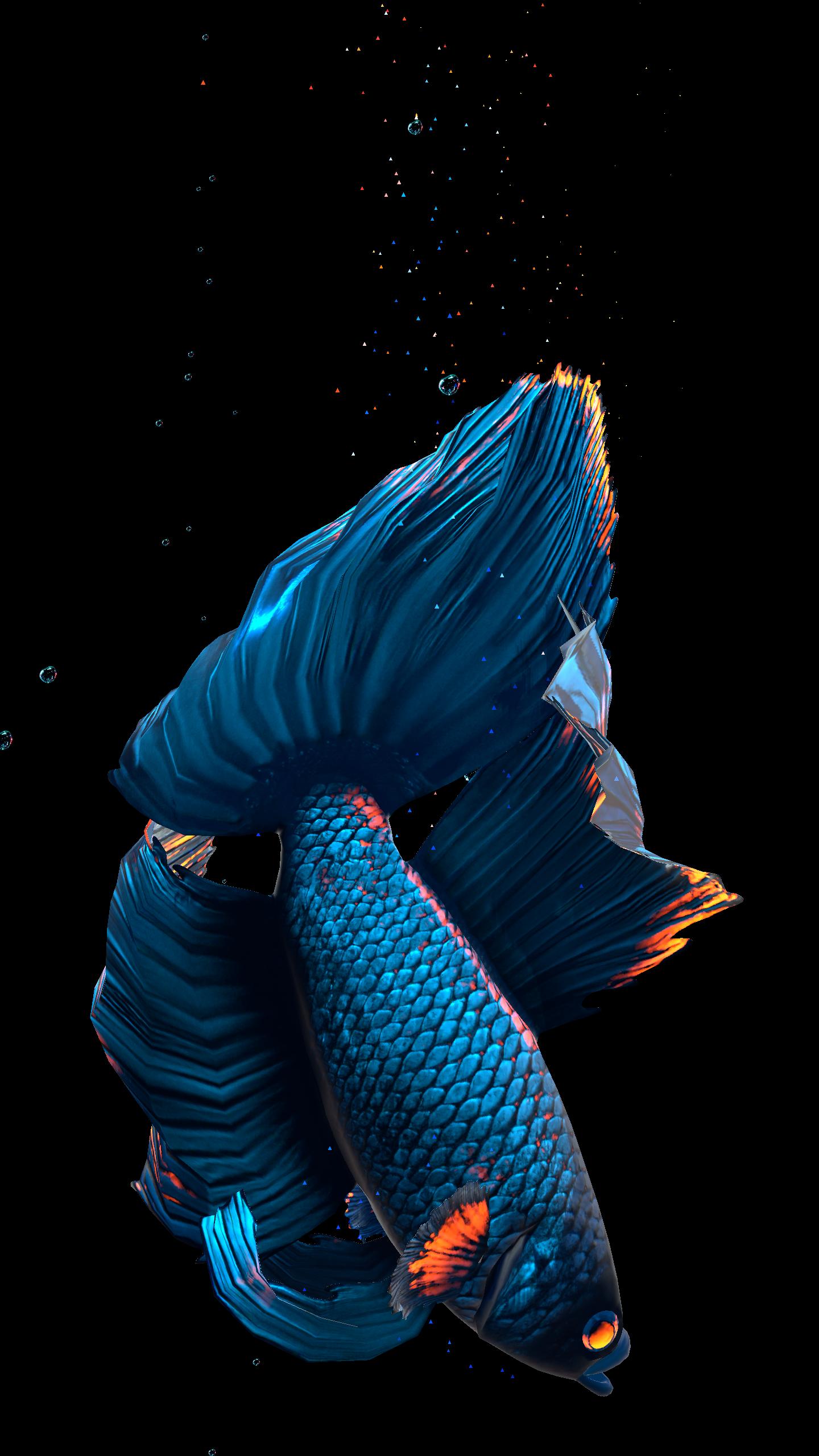 Detail Betta Fish Live Wallpaper Nomer 22