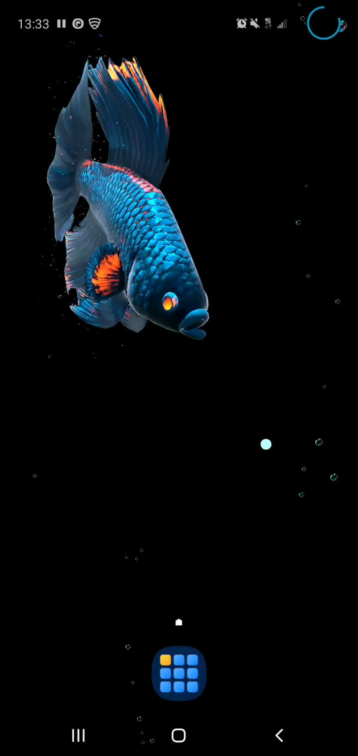 Detail Betta Fish Live Wallpaper Nomer 28