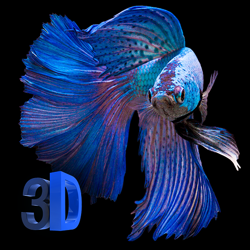 Detail Betta Fish Live Wallpaper Nomer 7