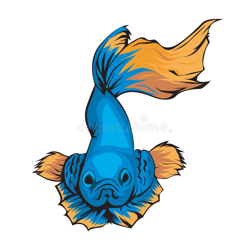 Detail Betta Fish Logo Nomer 15