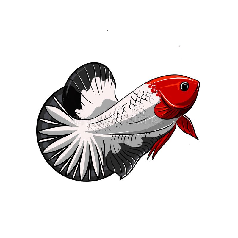 Detail Betta Fish Logo Nomer 19