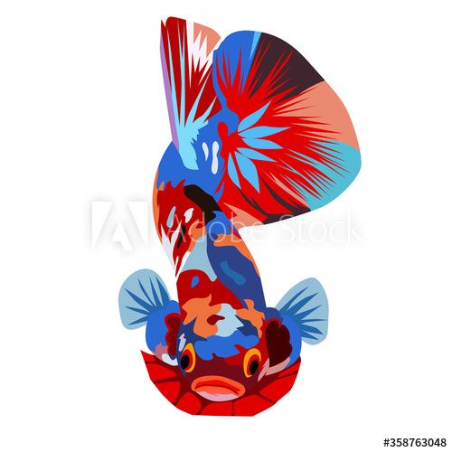 Detail Betta Fish Logo Vector Nomer 19