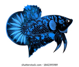 Detail Betta Fish Logo Vector Nomer 37