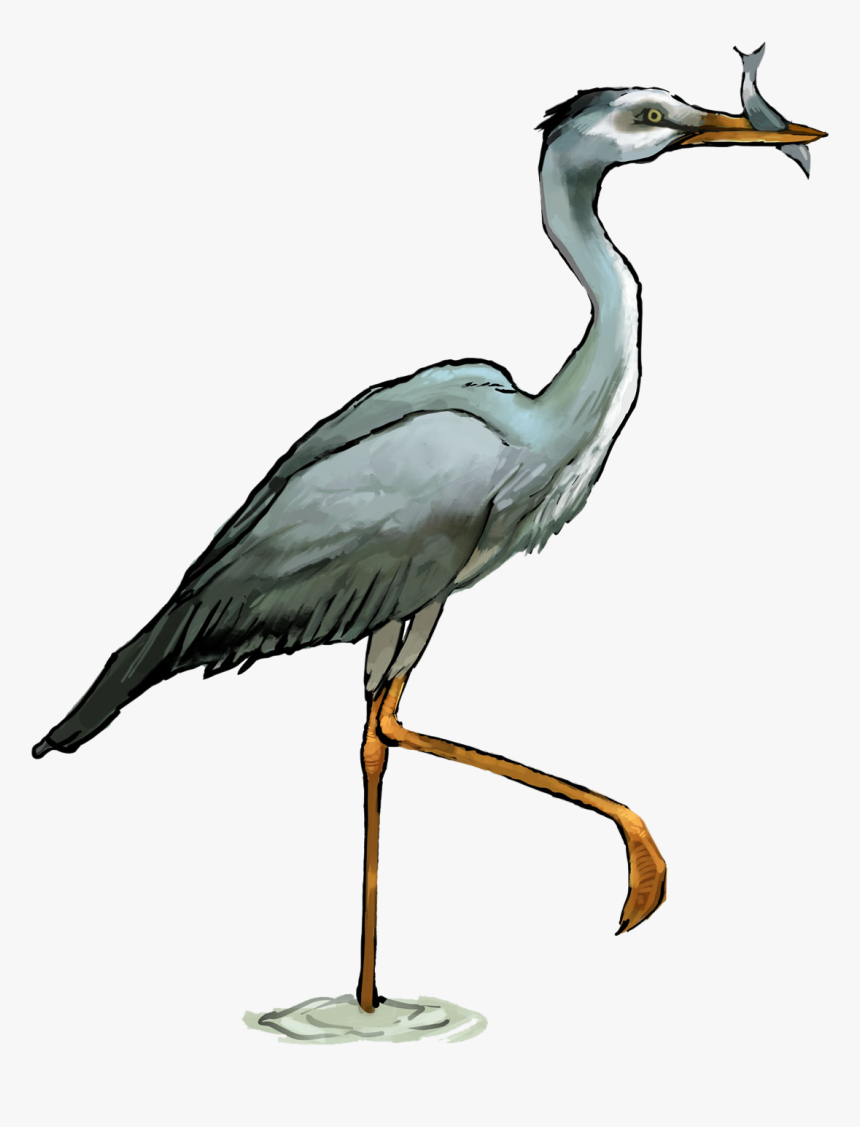 Detail Blue Heron Clipart Nomer 3
