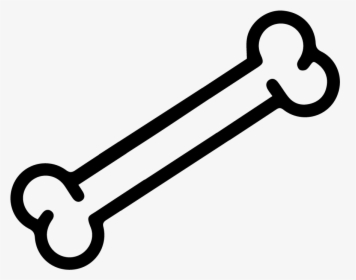 Bone Transparent - KibrisPDR
