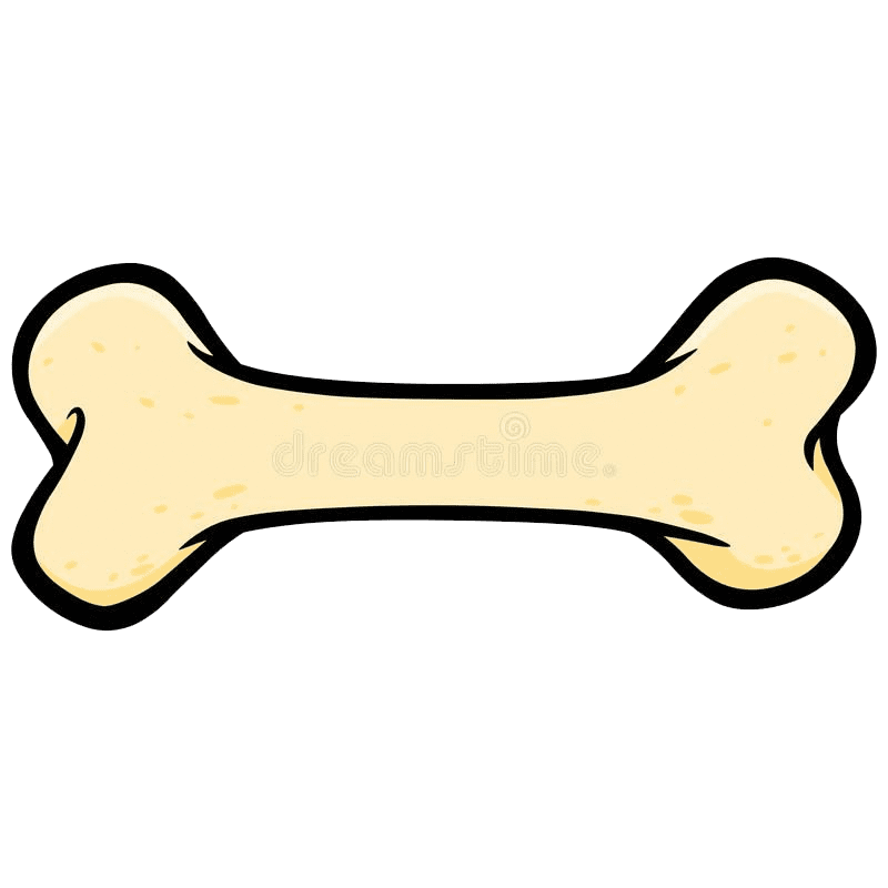Detail Bone Transparent Nomer 4