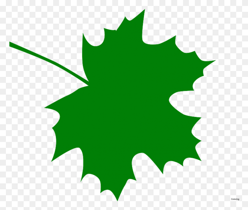Detail Dark Green Tree Background Nomer 17
