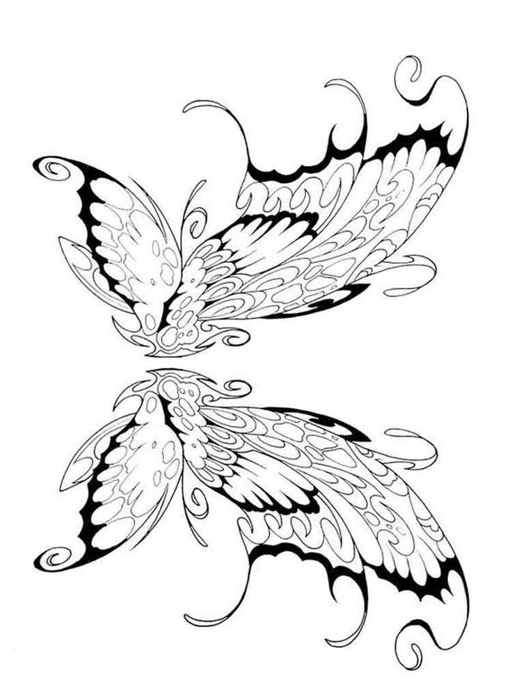 Detail Fairy Wings Drawing Nomer 21