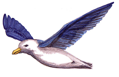 Fliegender Vogel Malen - KibrisPDR