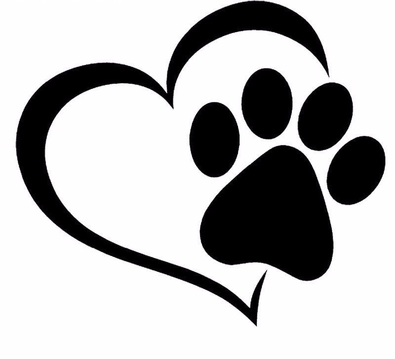Katzenpfoten Malen: Ausmalbilder Kostenlos für Groß und Klein – Entspannung und Kreativität für Jeden!
