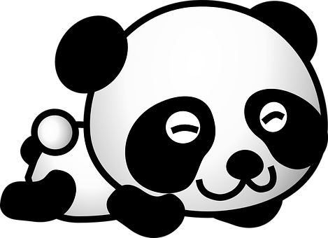 Detail Panda Reis Nomer 8