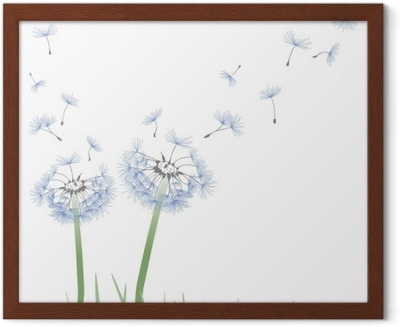 Detail Pusteblume Wallpaper Hd Nomer 7