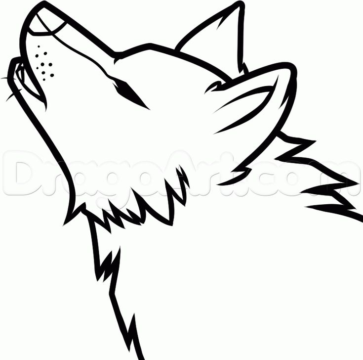 Detail Wolfs Bilder Zeichnen Nomer 14