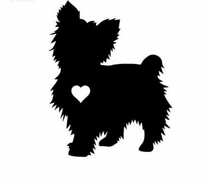 Detail Yorkshire Terrier 2 Jahre Nomer 24