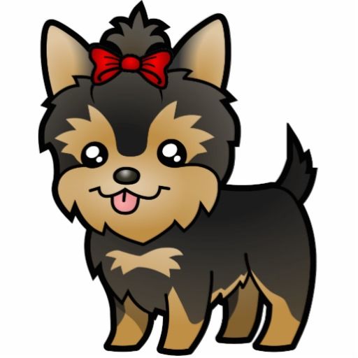 Detail Yorkshire Terrier 2 Jahre Nomer 7