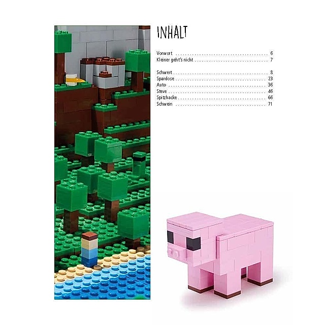 Detail Bibliothekar Minecraft Nomer 18