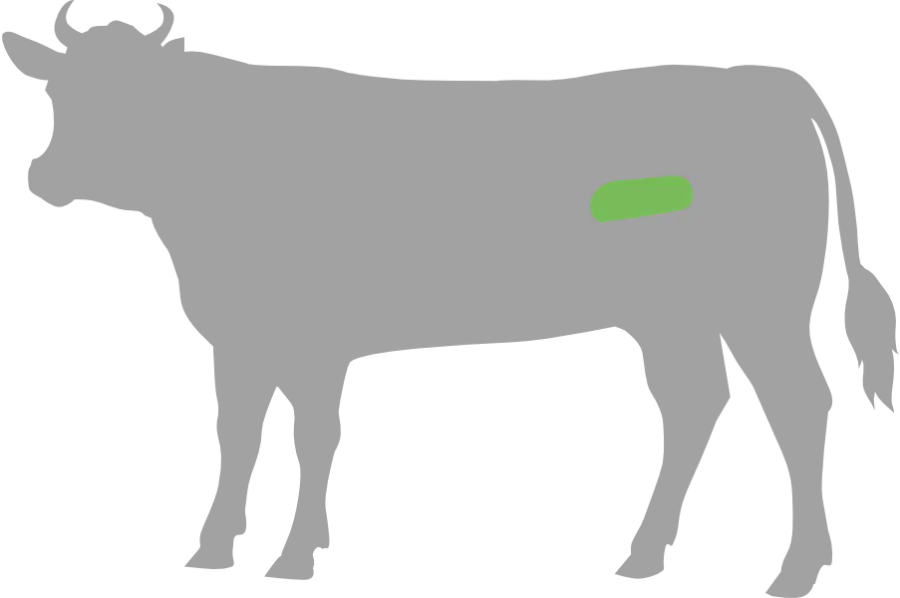 Detail Rindfleisch Dunkle Stellen Nomer 9