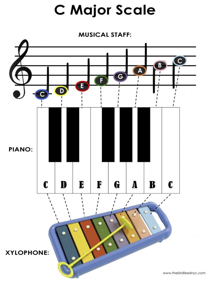 Detail C Major Scale Image Nomer 18