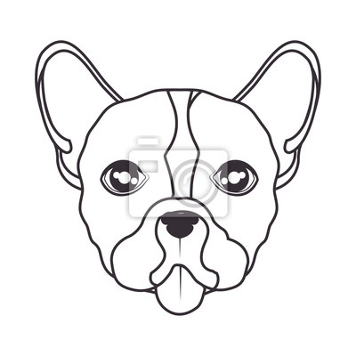 Gesicht Hund Zeichnen - KibrisPDR