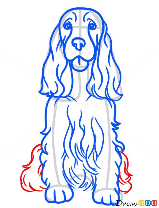 Detail Gesicht Hund Zeichnen Nomer 15