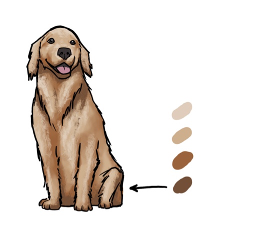 Detail Gesicht Hund Zeichnen Nomer 17