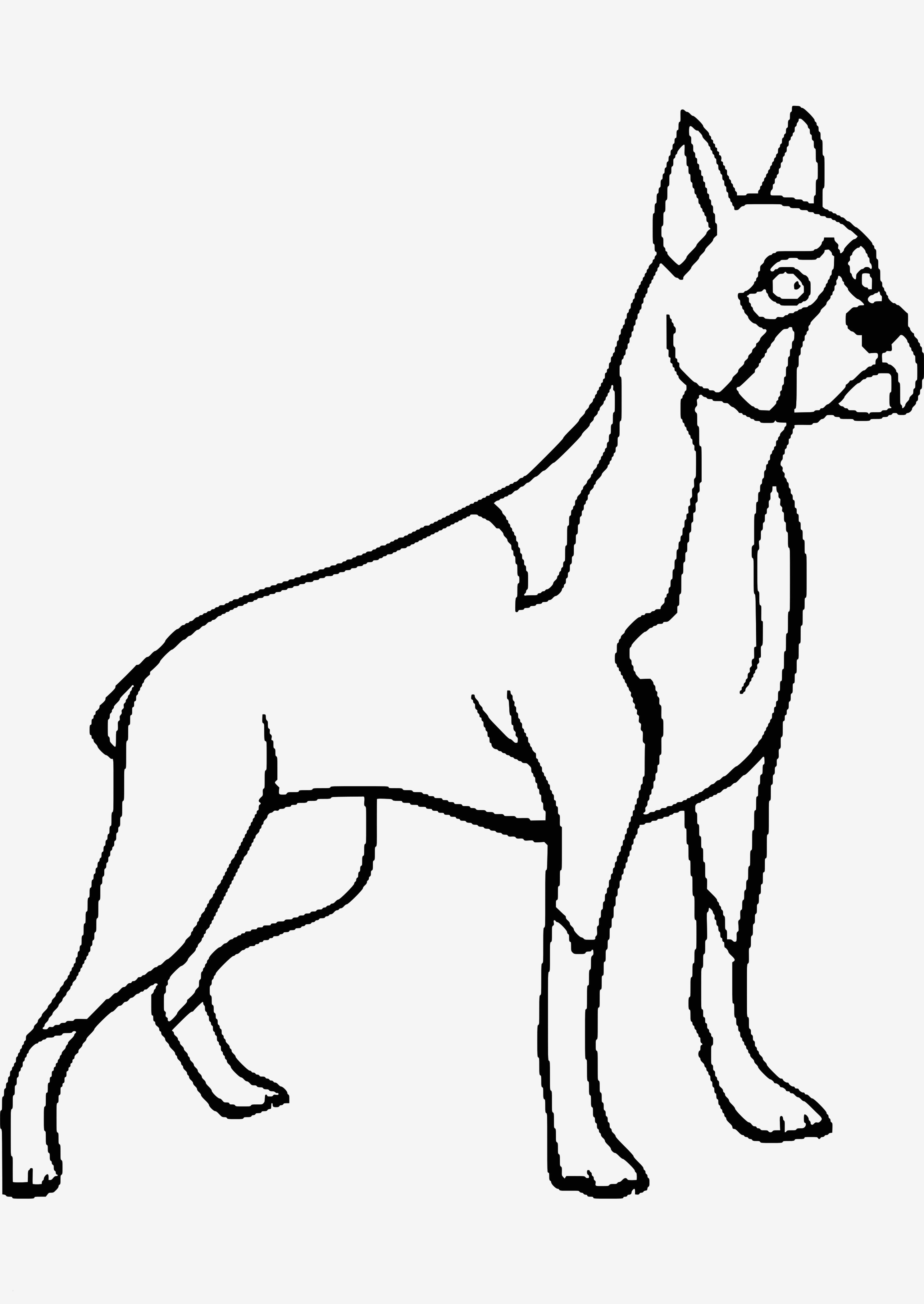Detail Gesicht Hund Zeichnen Nomer 20