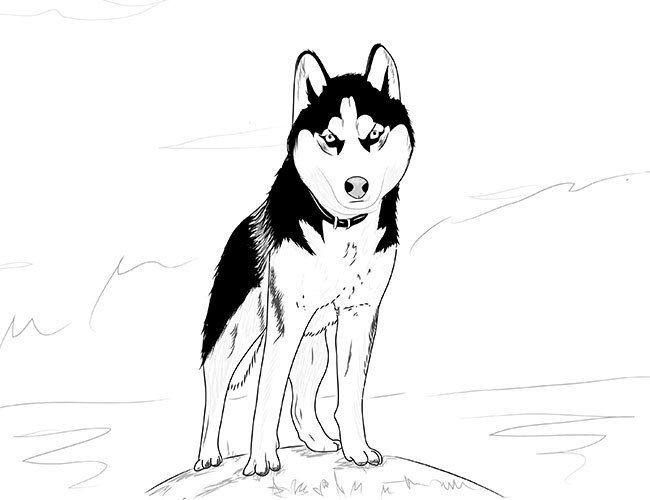 Detail Gesicht Hund Zeichnen Nomer 21