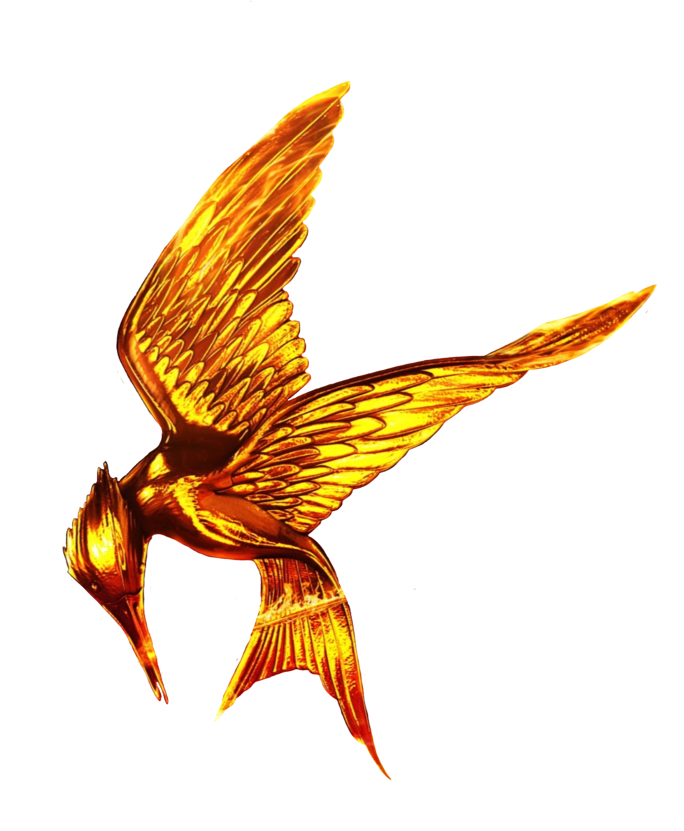 Detail Hunger Games Logo Nomer 18