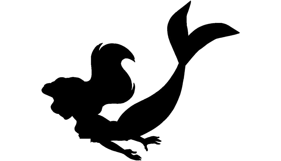 Detail Mermaid Shadow Nomer 4