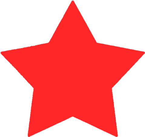 Detail Schwarzer Stern Nomer 13