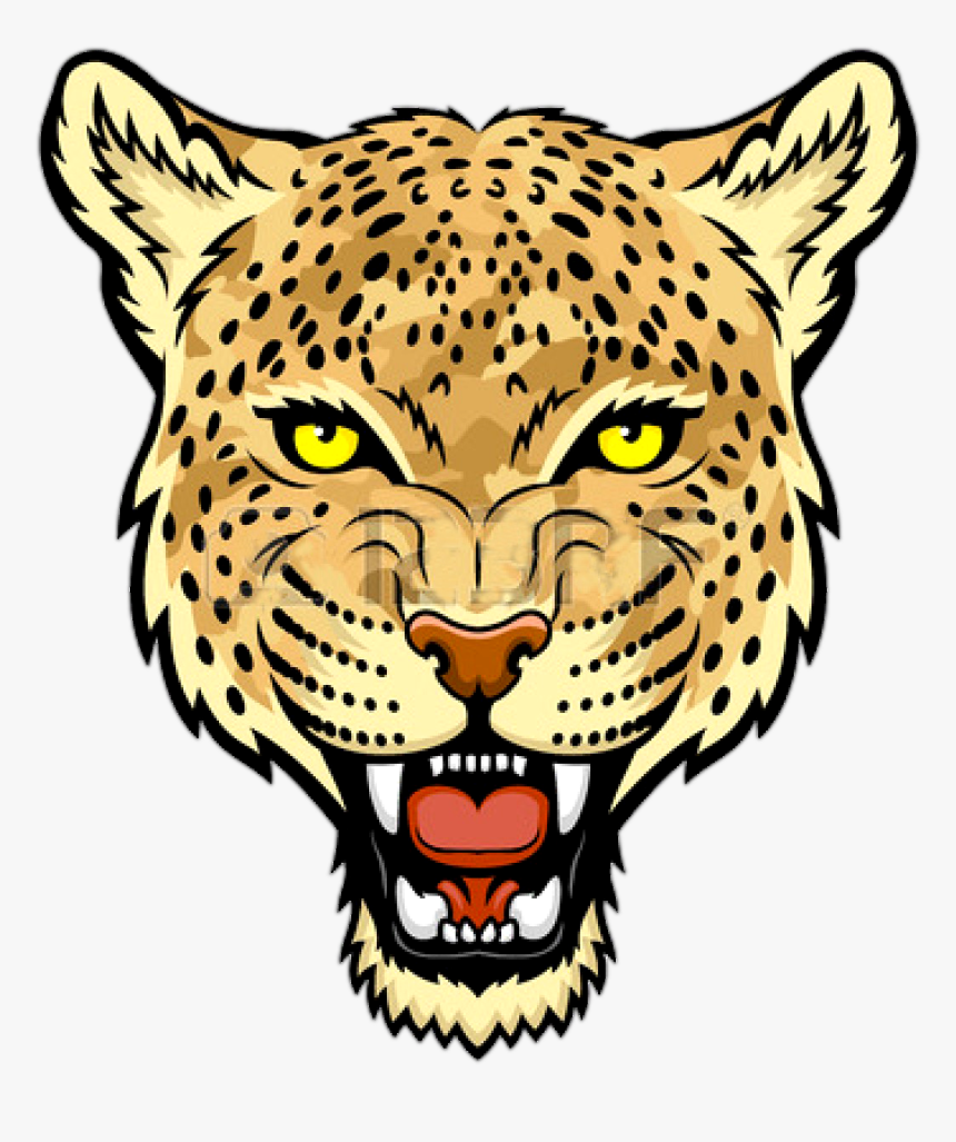 Detail Leopard Bilder Nomer 6