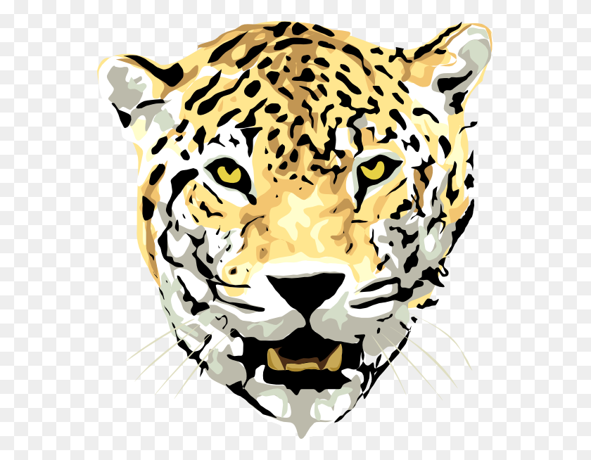 Detail Leopard Bilder Nomer 3