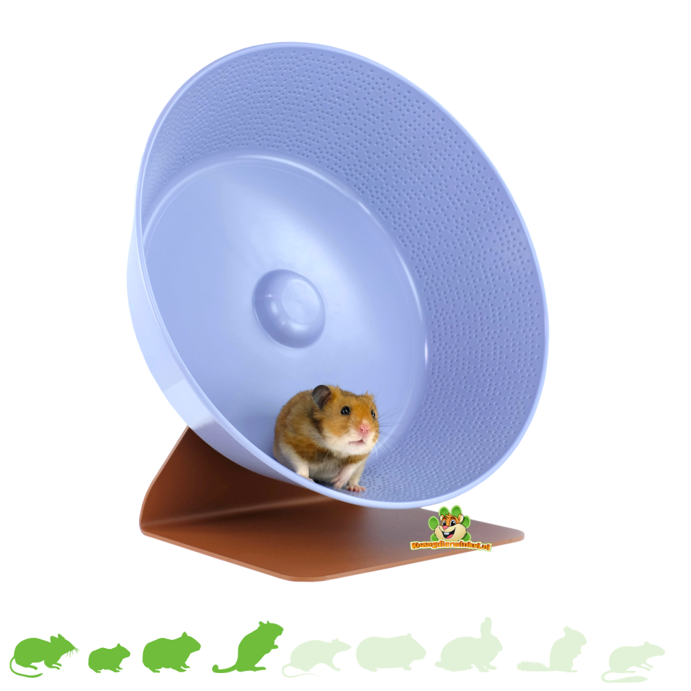 Detail Mongolischer Hamster Nomer 5