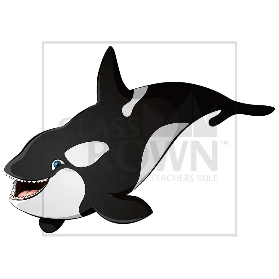 Detail Wal Bilder Orcas Nomer 24