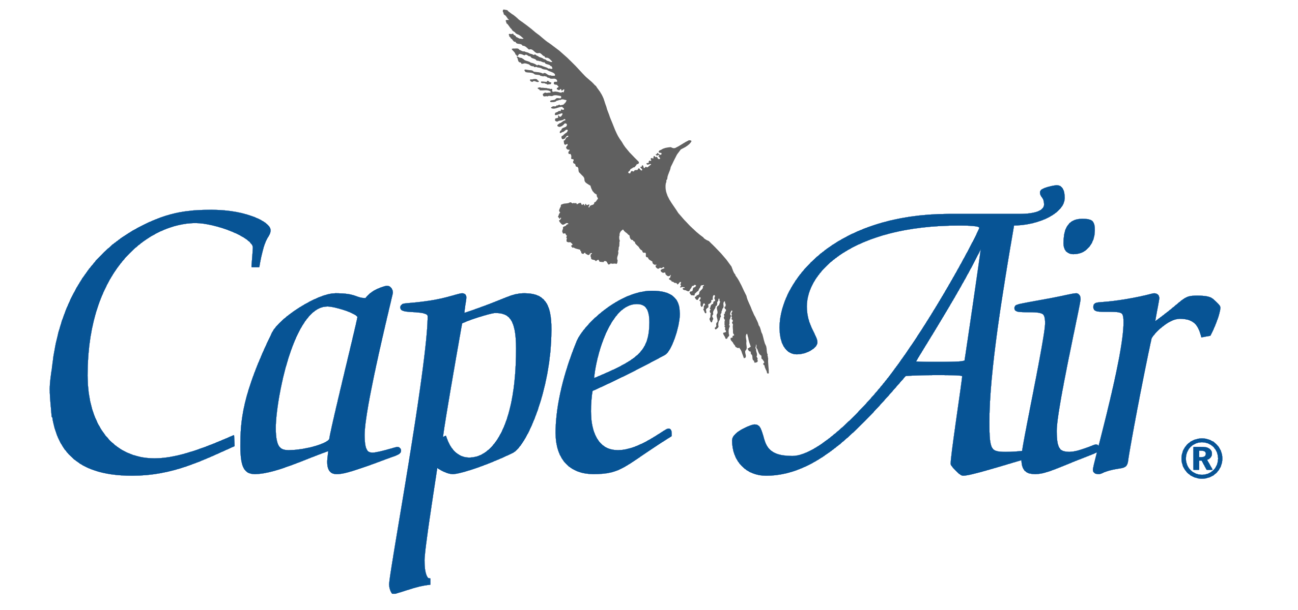 Detail Cape Air Logo Nomer 2