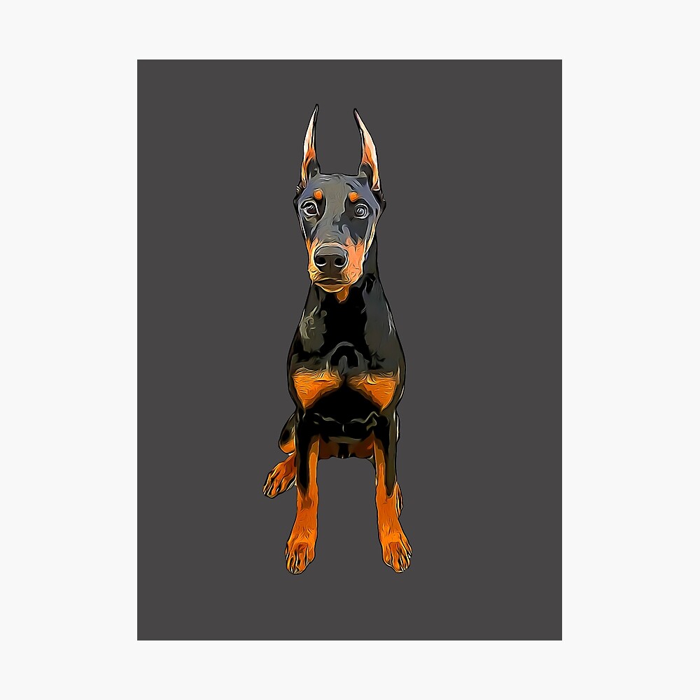 Detail Grauer Dobermann Nomer 10