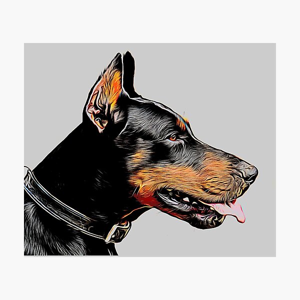 Detail Grauer Dobermann Nomer 19