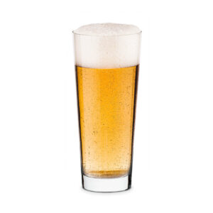 Detail Bierglas Arten Nomer 2
