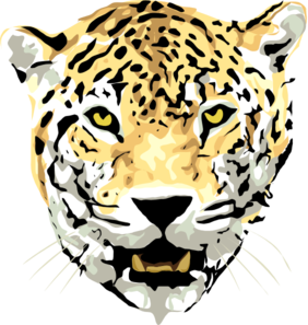 Detail Leopard Hintergrund Nomer 12