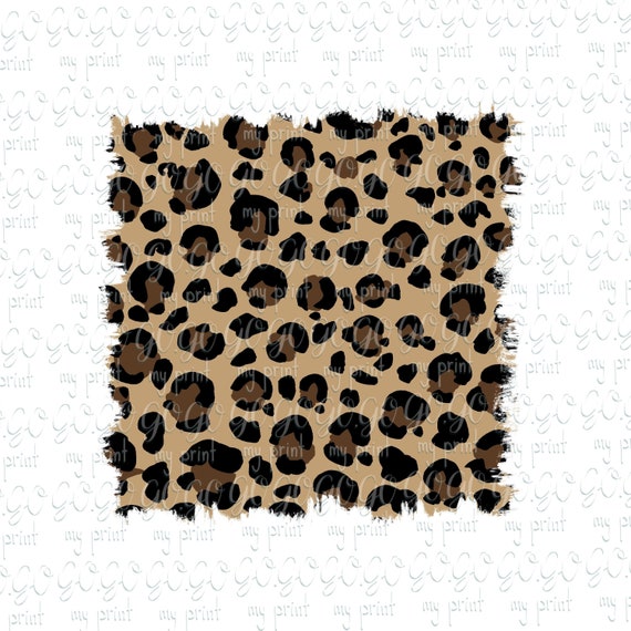Detail Leopard Hintergrund Nomer 5