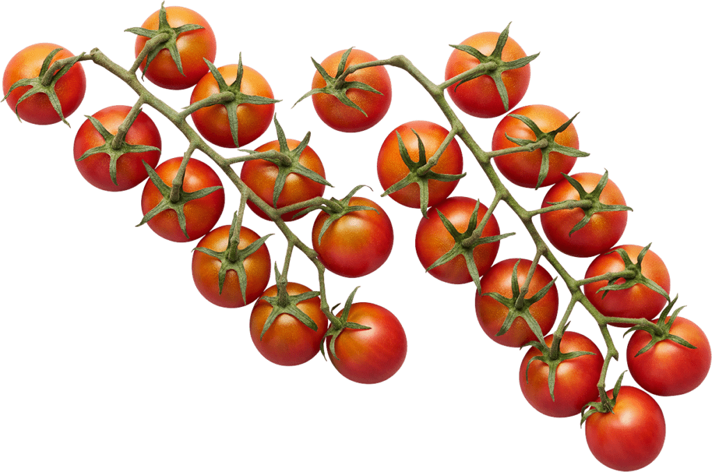 Detail Bagel Tomate Mozzarella Nomer 9