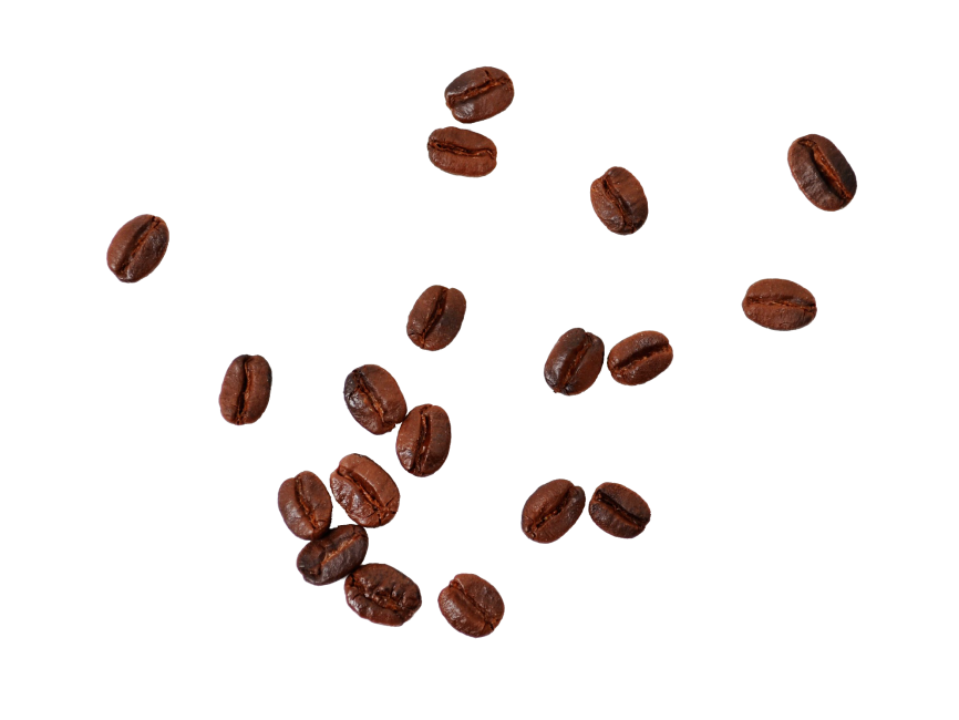 Detail Coffee Beans Png Nomer 9