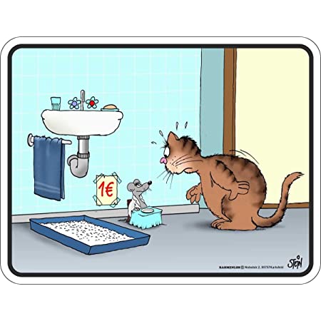 Katze Liegt Im Waschbecken - KibrisPDR