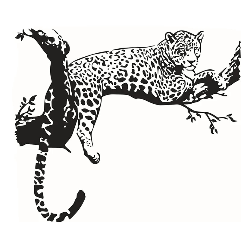 Detail Leopard Motte Nomer 2